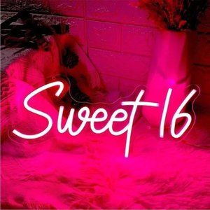 Sweet 16 Sixteenth Birthday Quinceanera Celebration Party Pink LED Neon Light